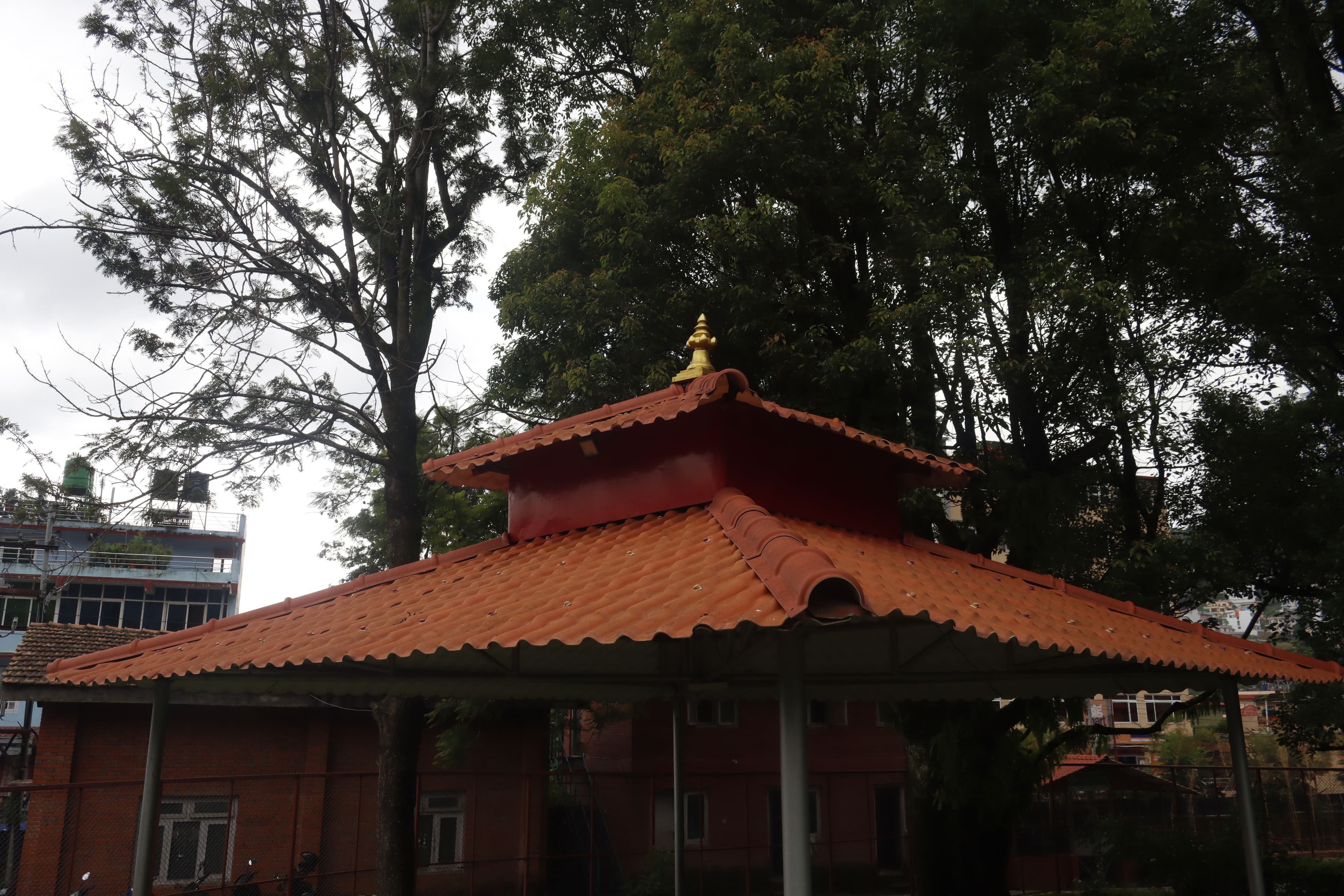 The Culture of Cultivating Peace