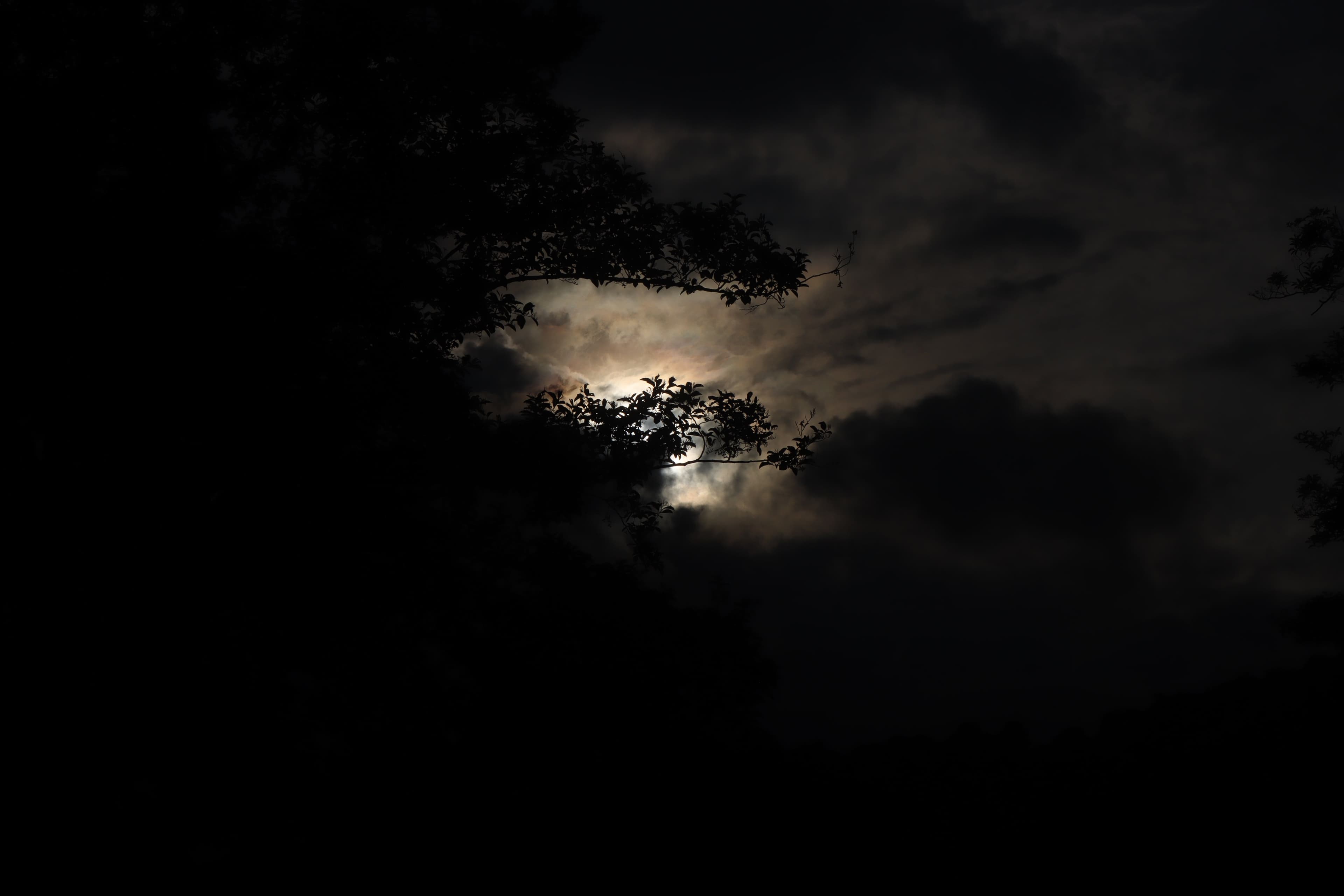 मान्यता
